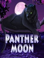 Baby Cai Shen สูตร ที่จะทำให้คุณรวยเร็ว